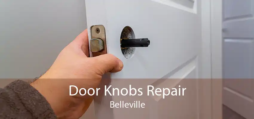 Door Knobs Repair Belleville