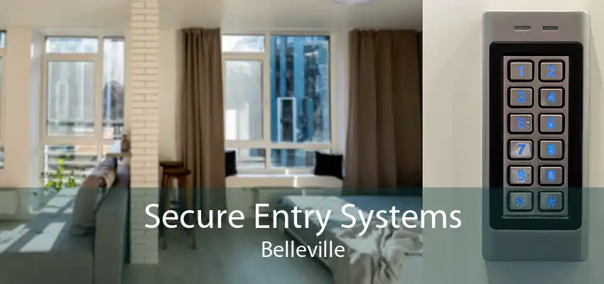 Secure Entry Systems Belleville